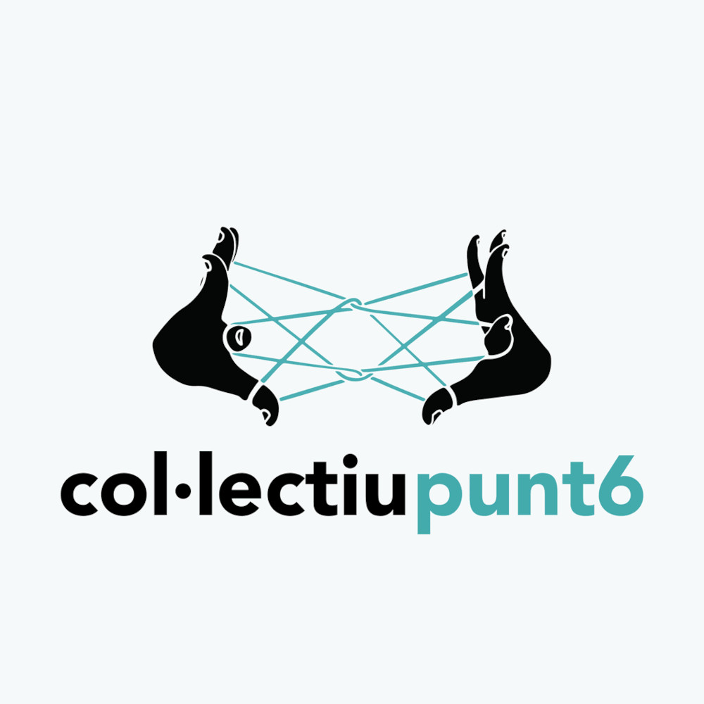 Col·lectiu punt 6